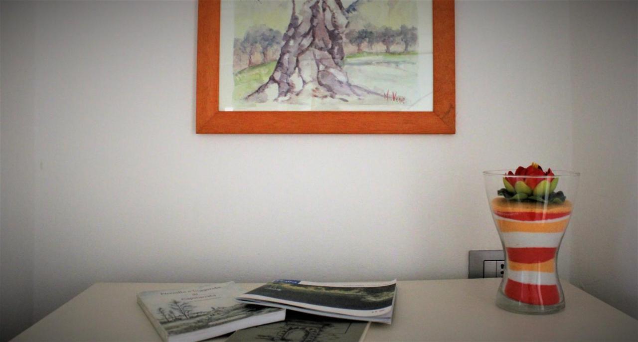 Apartament B E B La Fontana Del Carmine Lucera Zewnętrze zdjęcie